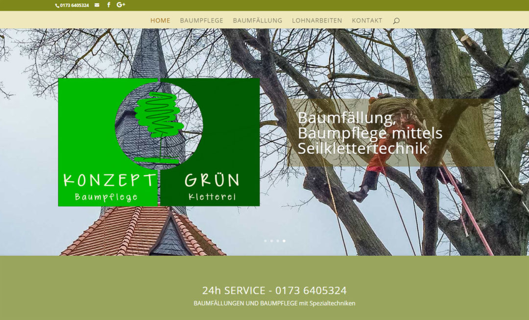 Webseite Konzept Grün Baumfällung Baumpflege Usedom